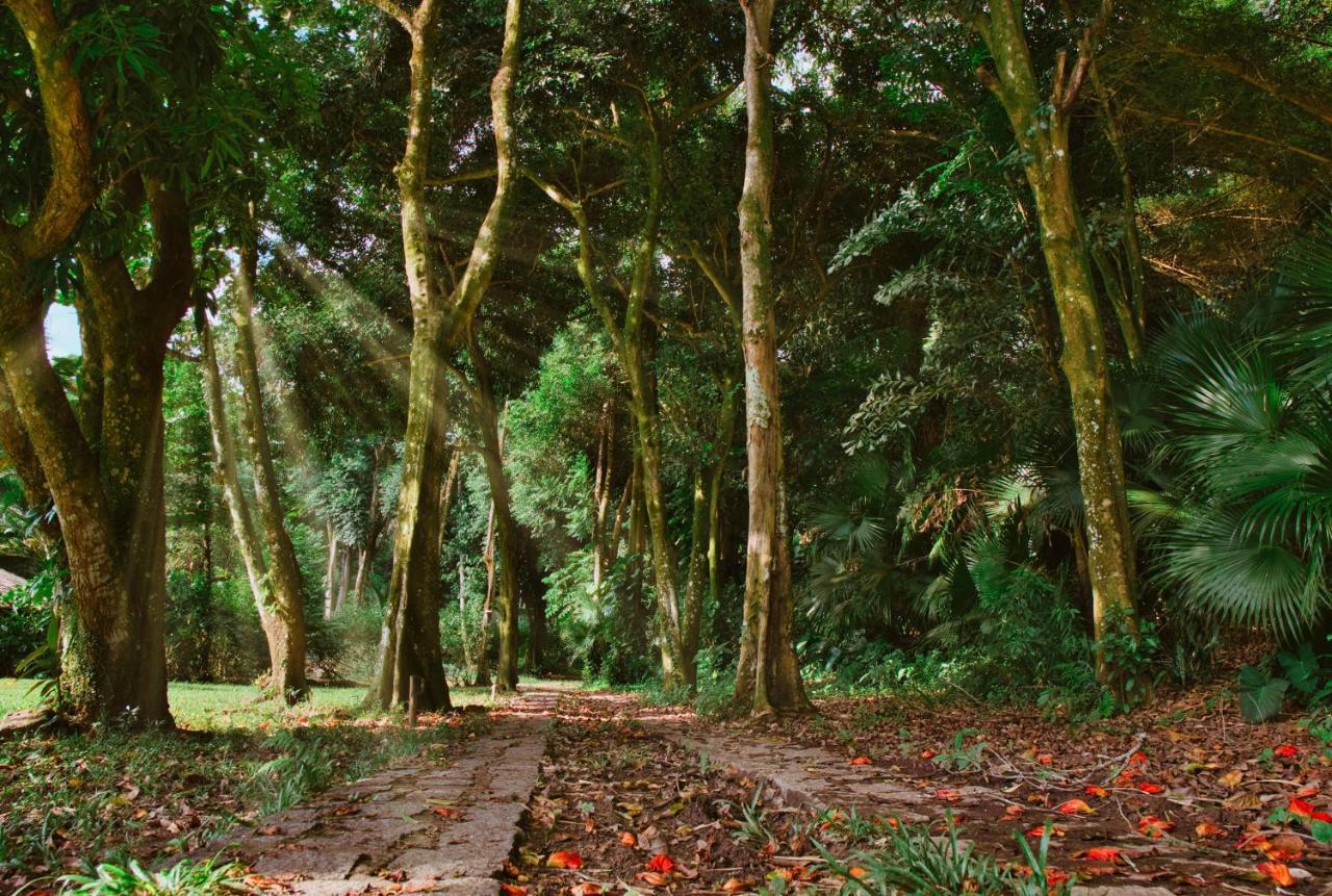 Vila Siriuba Hotel Ilhabela Kültér fotó